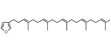 Furospinulosin 2